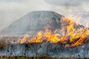 Wildfire Smoke a Risk Factor for Childhood Autism